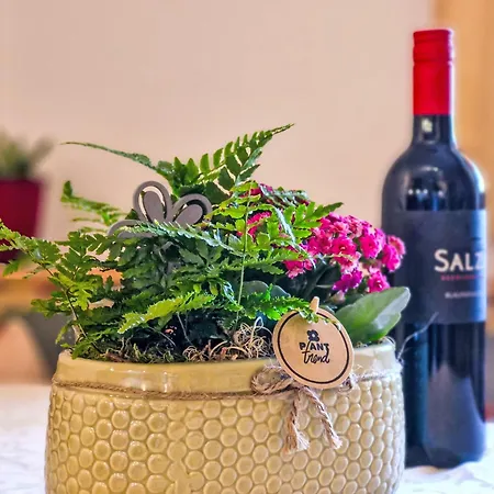 Lueg Ins Land By Interhome Appartement